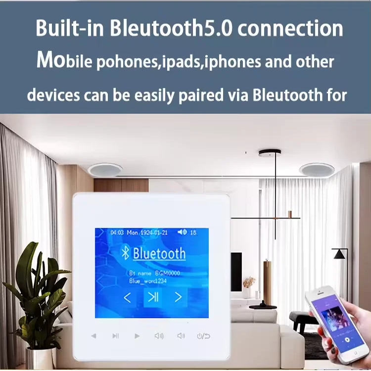 Home Bluetooth Wall Amplifier  - Home Cinema Bluetooth 评论和价格