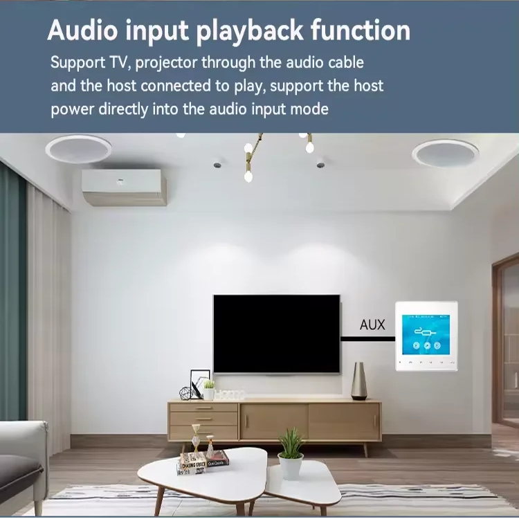 Home Bluetooth Wall Amplifier  - Home Cinema Bluetooth 评论和价格