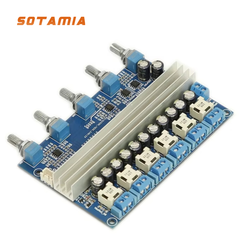 SOTAMIA 5.1 Home Theater TPA31 - Home Cinema Onkyo 5.1 评论和价格